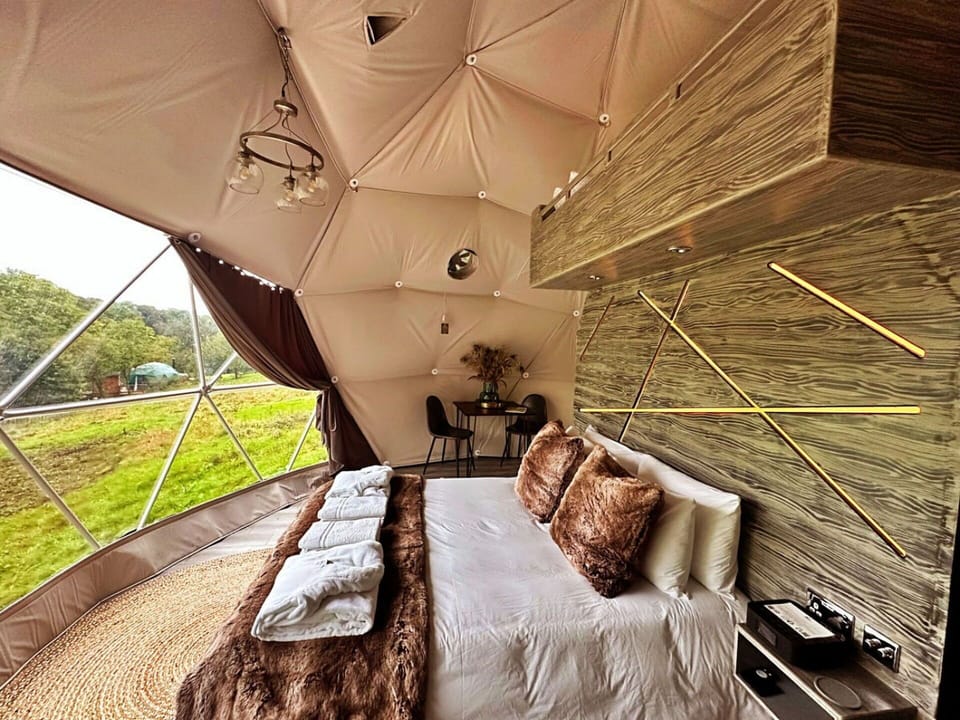 Lighting, Furniture, Bedroom, Bed, Bedding, Linens, Pillow, Bed Sheet, Design, Camping