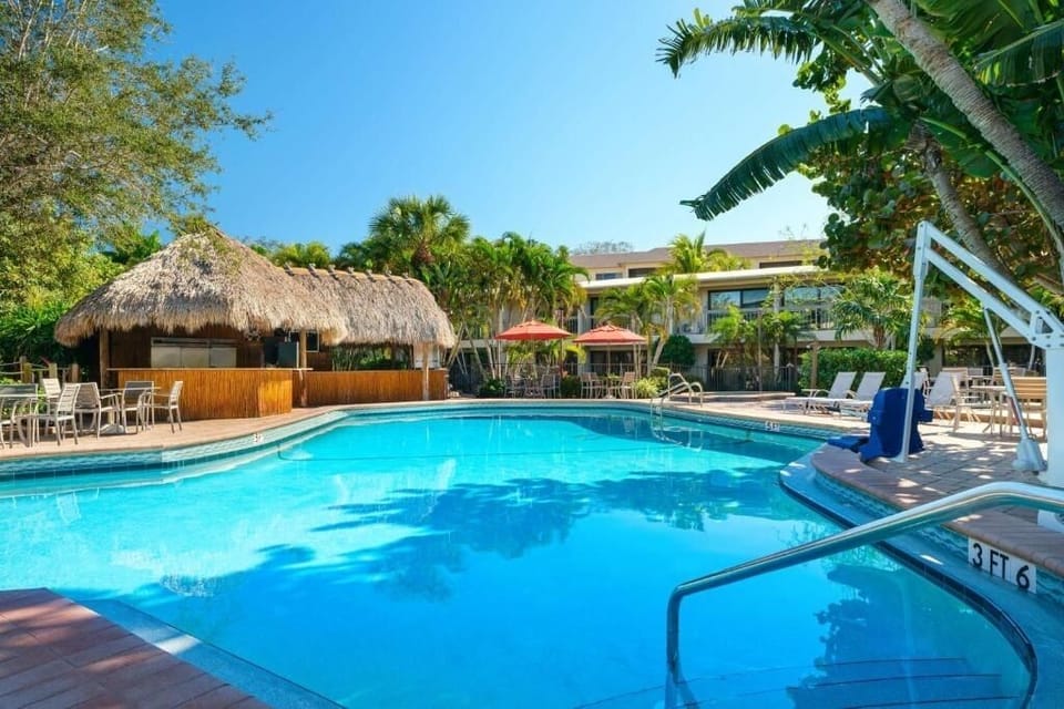 Dive into sparkling waters surrounded by lush tropical palms.