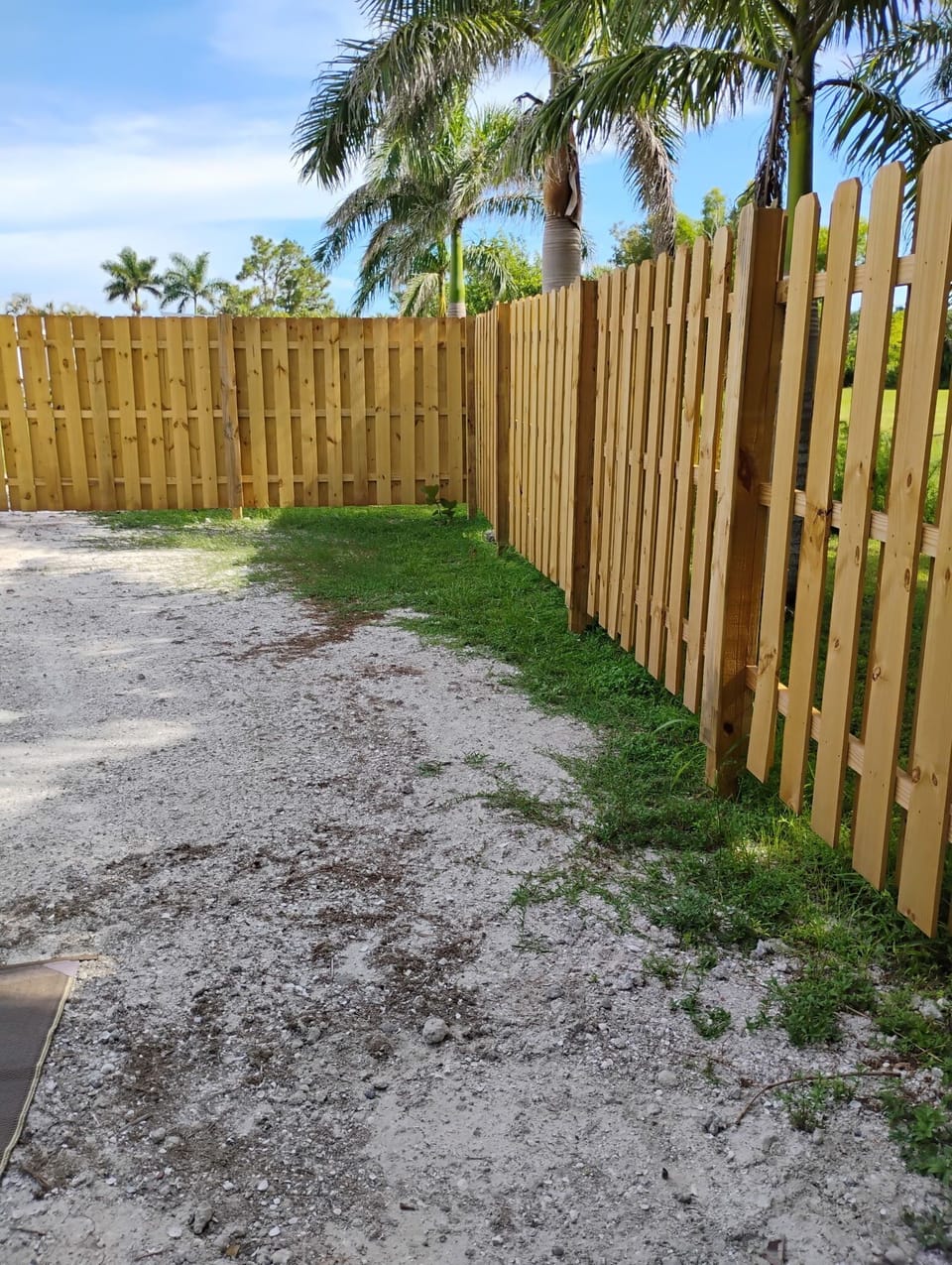 Privacy fence around area