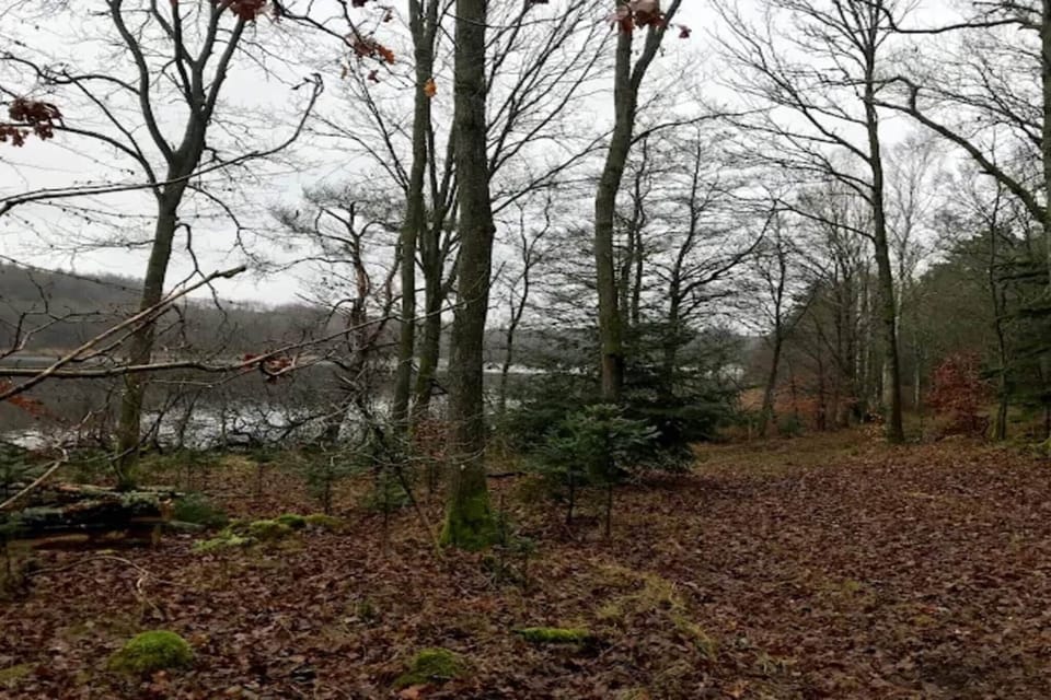 Water view