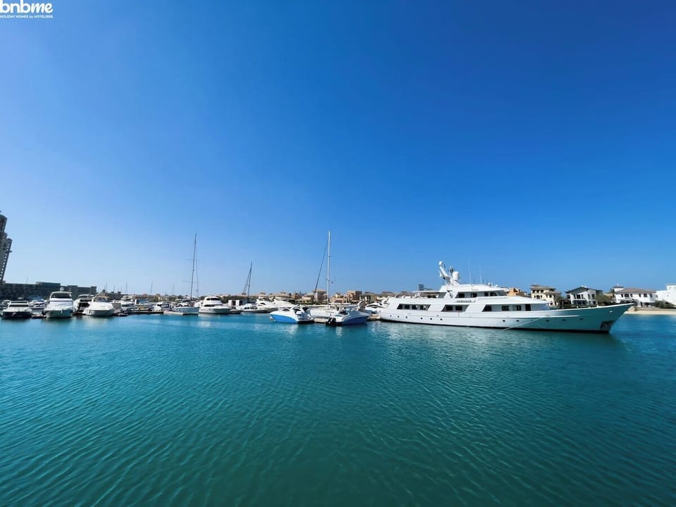 "Embark on adventures exploring the nearby attractions and local gems."
