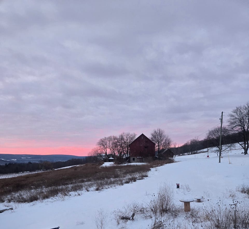 Snow covered sunrise
