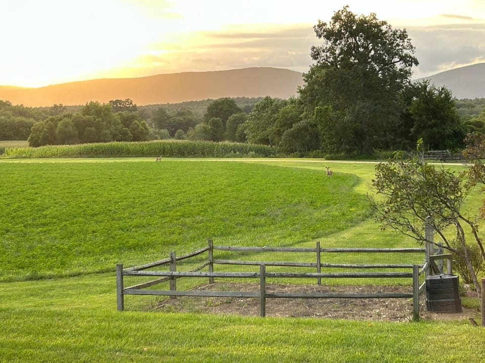View from dining table of the mountains and fields at sunset