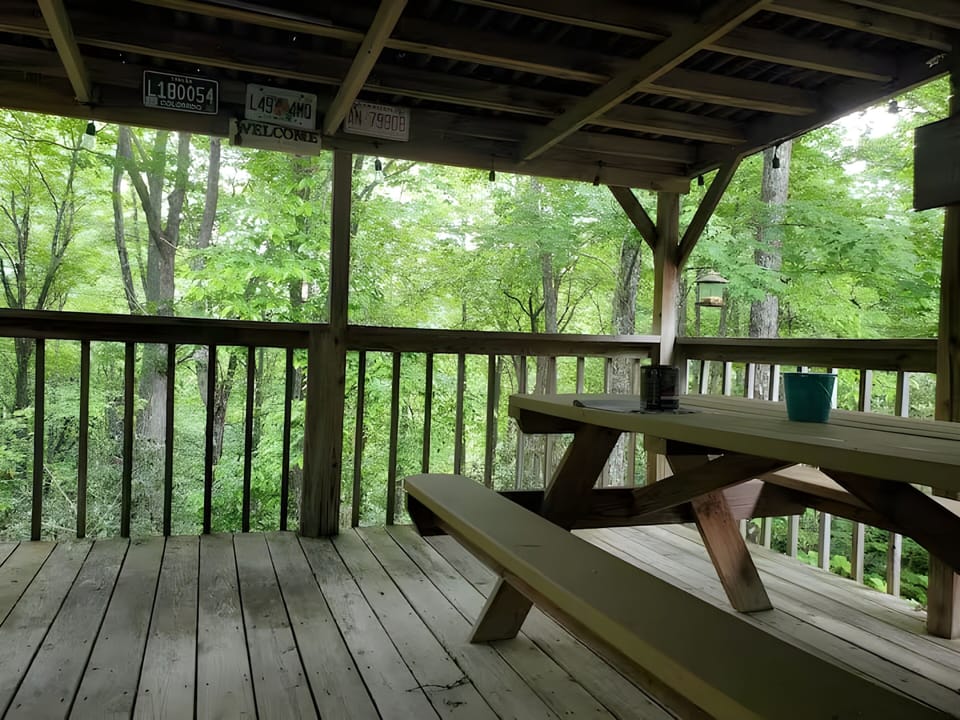 Back deck features picnic table and charcoal BBQ.