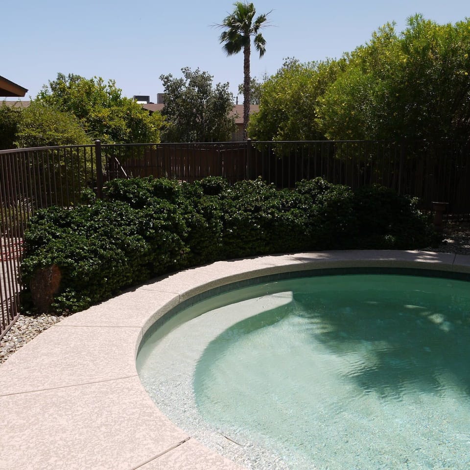 Pool and landscaping