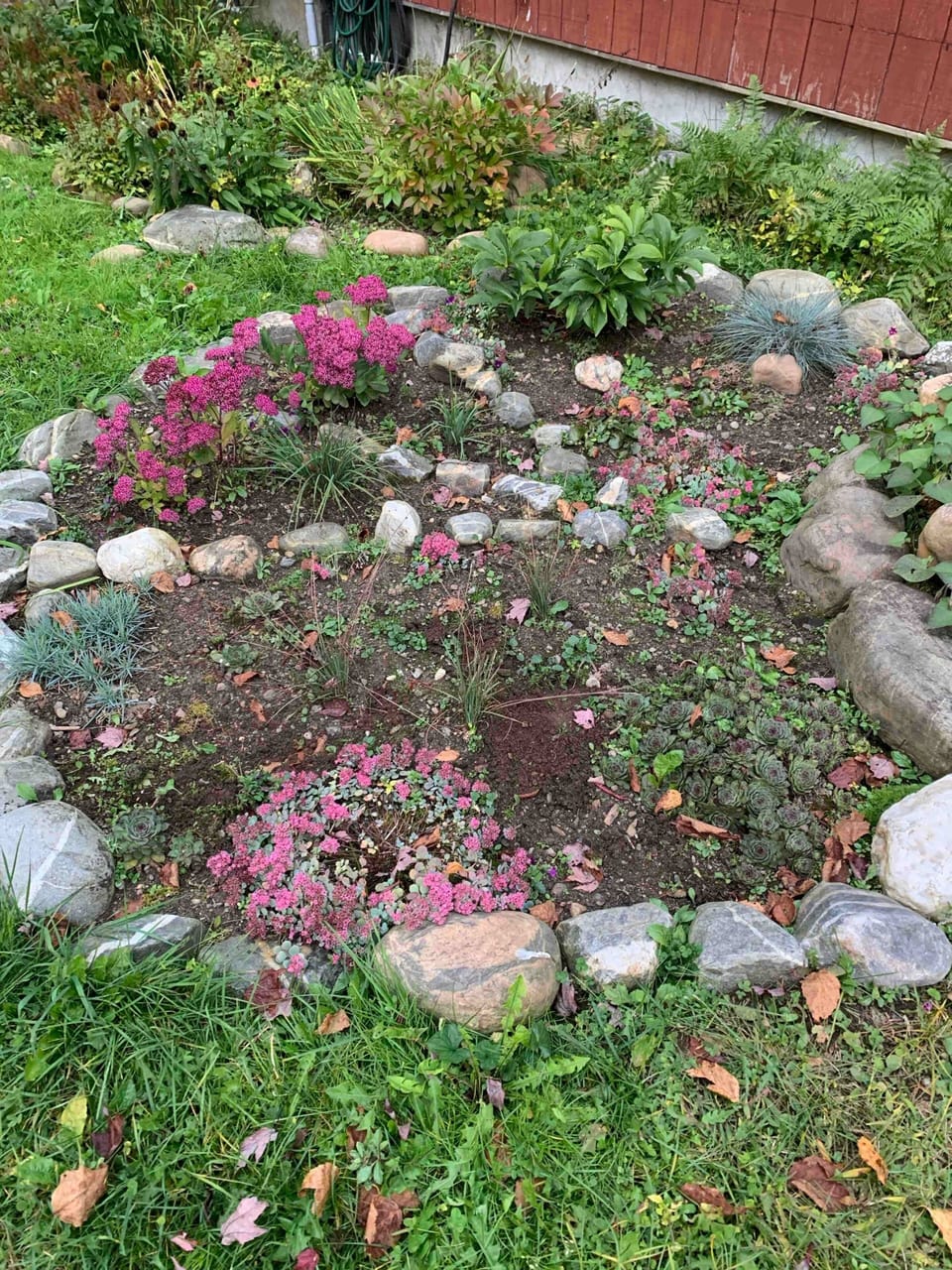 Backyard garden