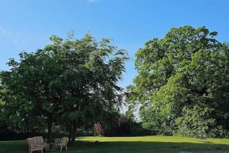 Surrounding Greenery