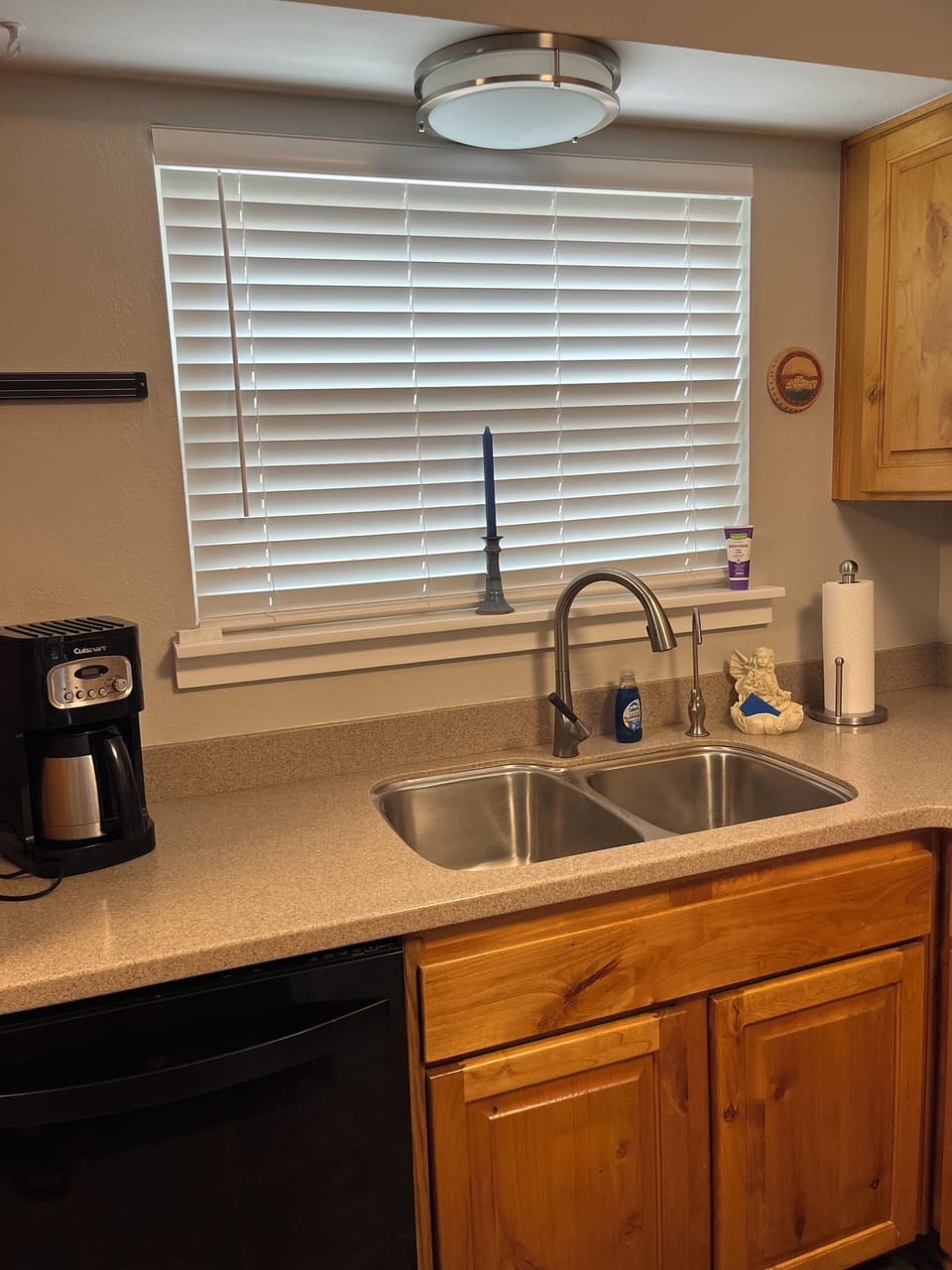 dishwasher and sink