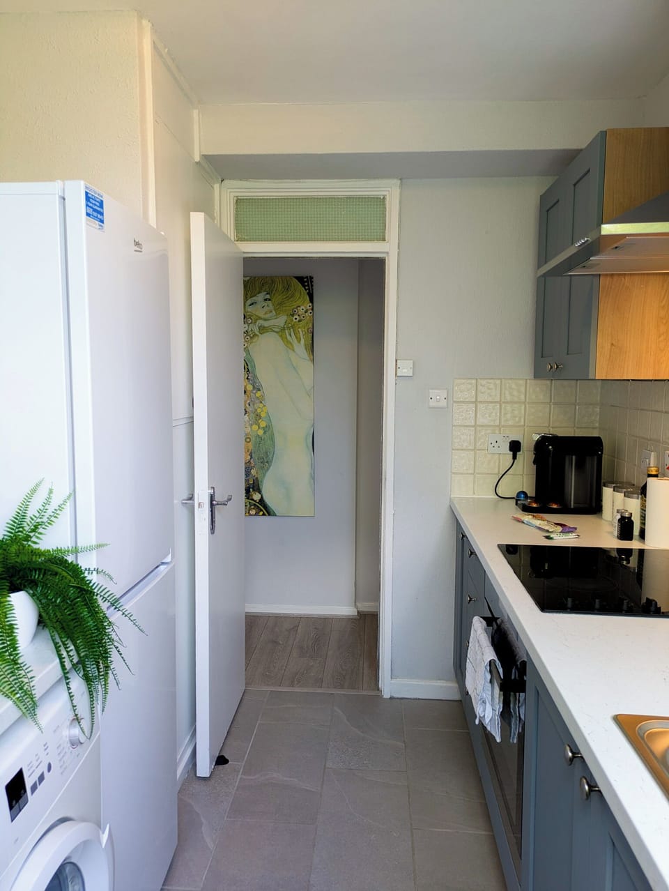 spacious kitchen, coffee machine, fridge, microwave, stove, toaster, oven