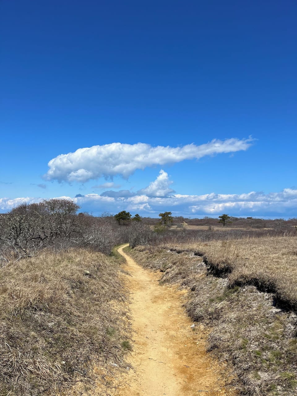 Walk to the beach across conservation land 5 mins from house