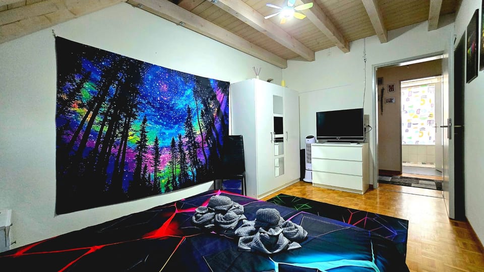 Neon Vibes Quarto