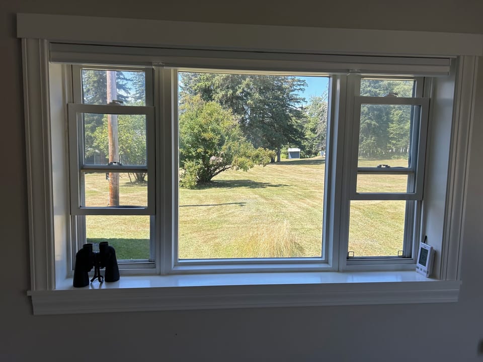 View from family room