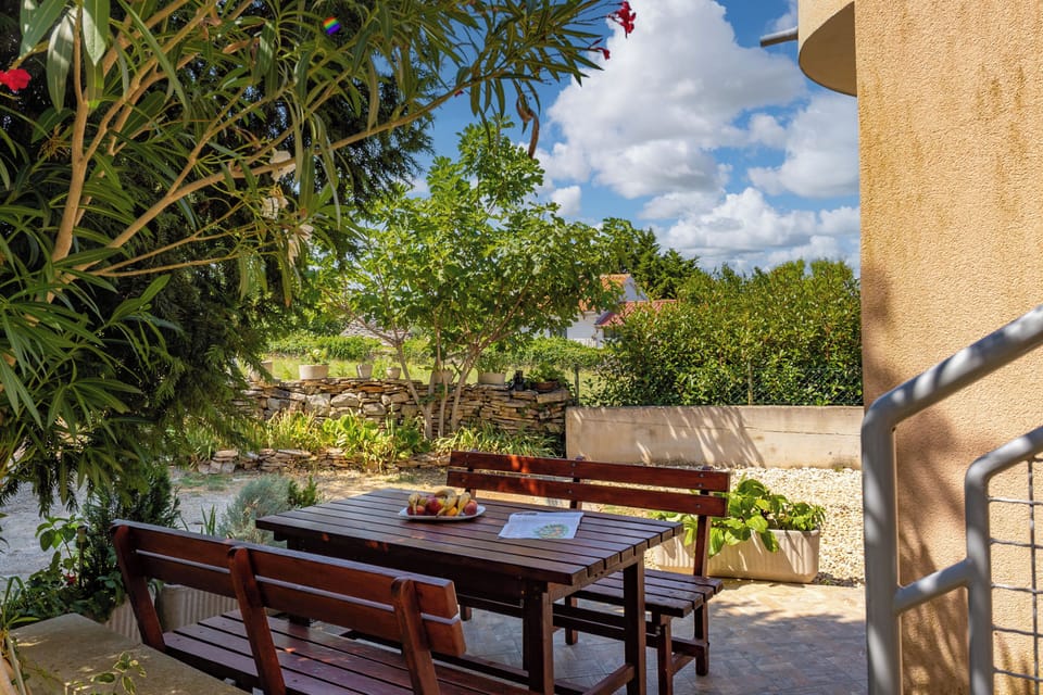 Shared Garden