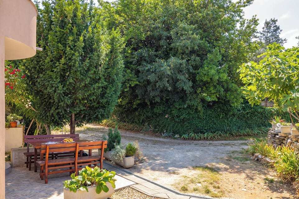 Shared Garden