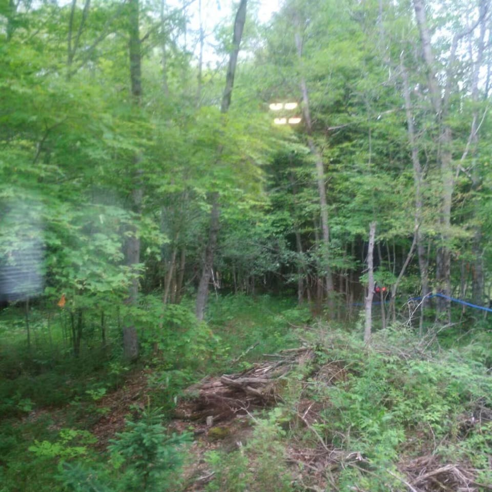 Forest and  untouched 11.9 acres to explore once you leave the RV