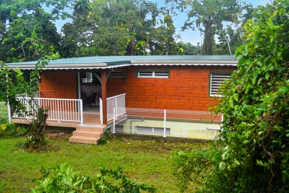 Front view
