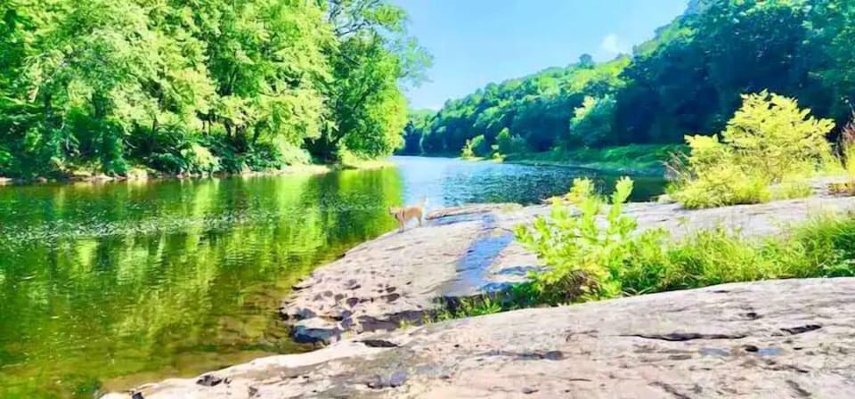 River picture (7)
