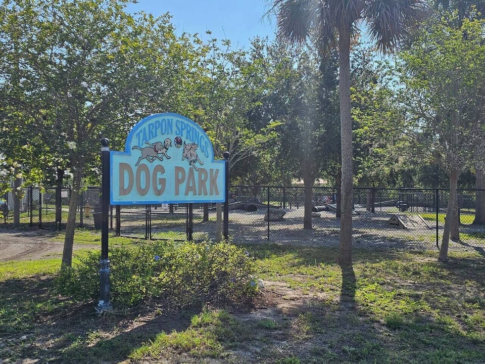 c1c12efc-be15-4d70-bbbf-b8e60d44746a