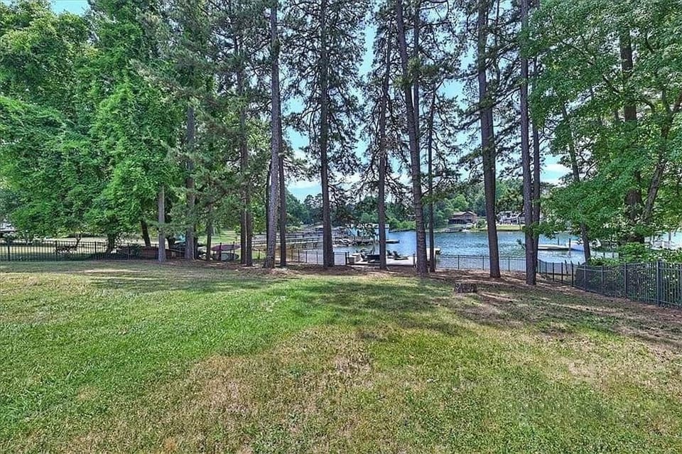 Backyard 2