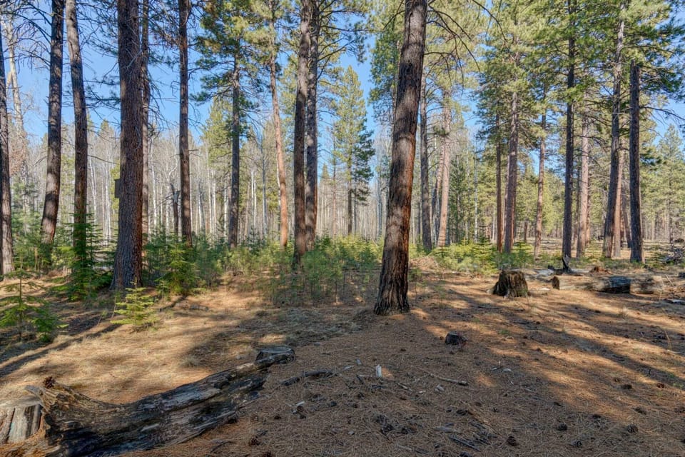 GM-006-Black-Butte-Ranch-OR-97759-3000x-5-scaled-1