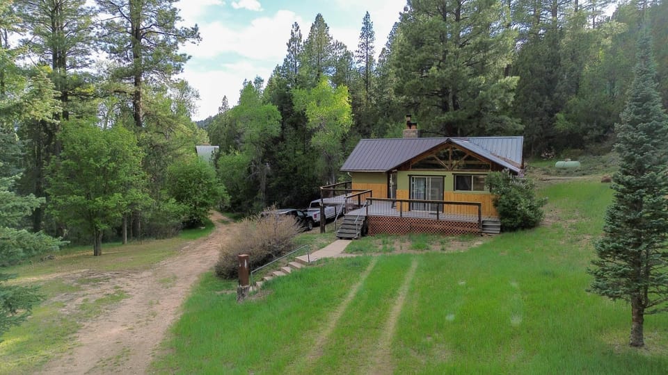 Welcome to your forest escape—charming mountain cabin tucked into the trees with plenty of space to roam.