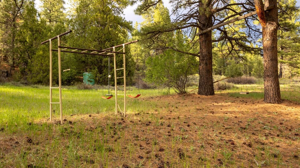 Let the little ones swing and climb while you relax nearby—fun forest play area included.