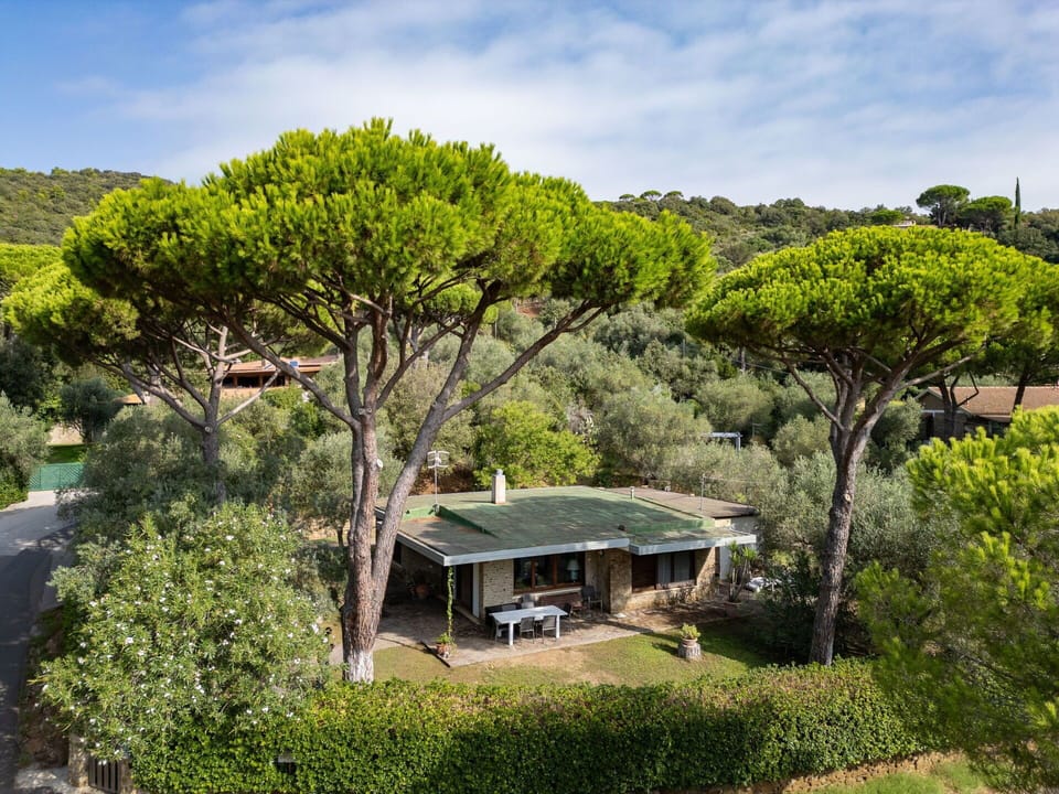 House, Home, Roof, Cottage, Shrub, Siding, Estate, Farmhouse, Garden, Landscaping