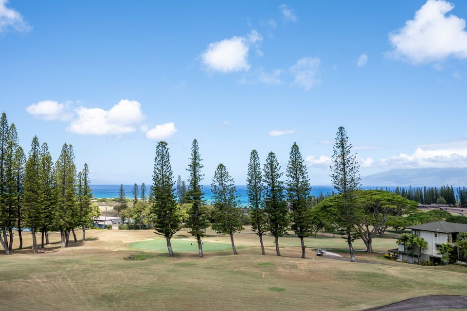 Perfect place for beach and golf lovers!  Blue Pacific Ocean and 11th hole of Kapalua Bay Course