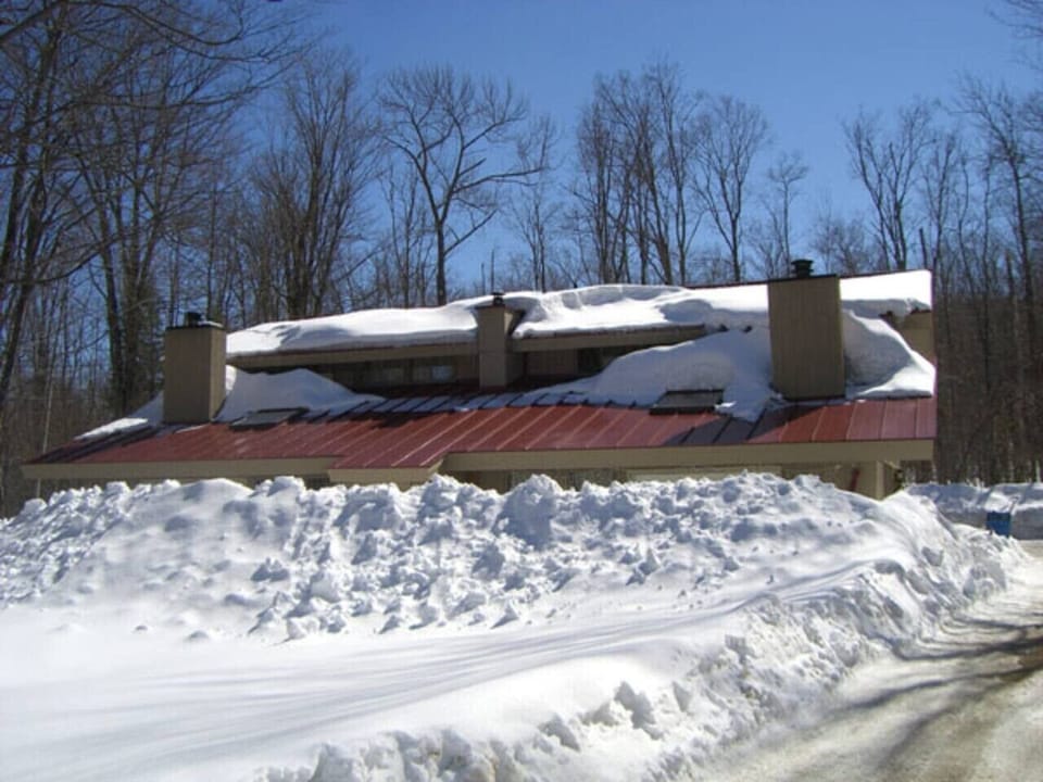 Bluebird day  after a wintery March