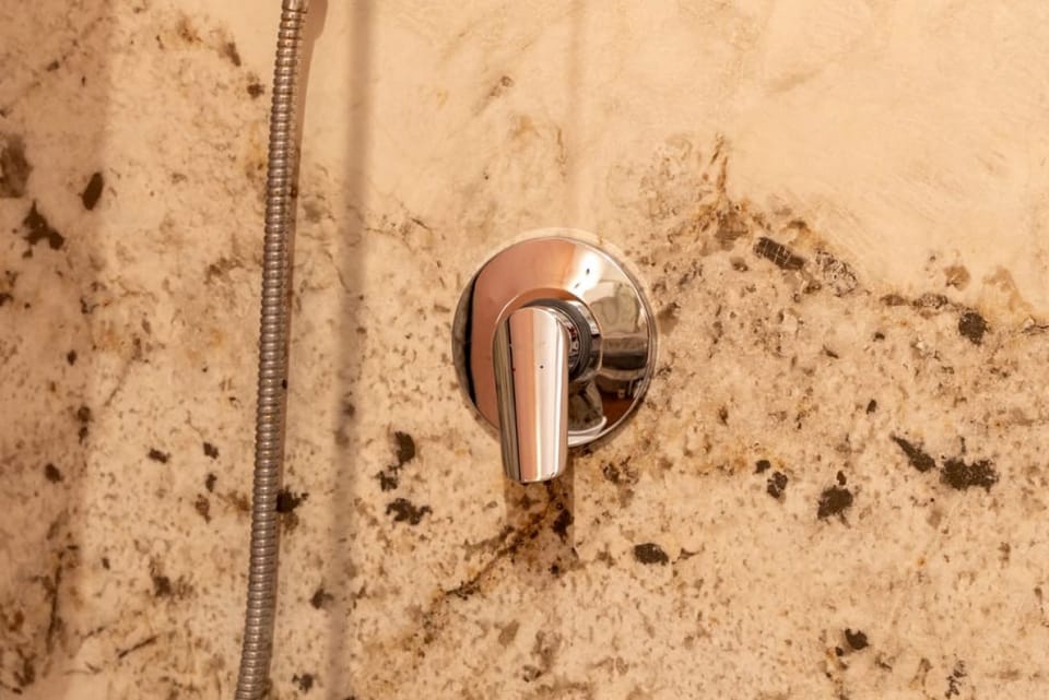 Hand-held showerhead