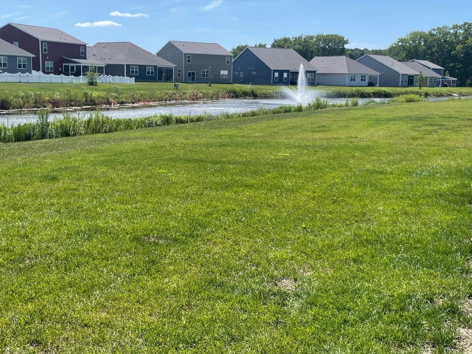 Backyard Water View