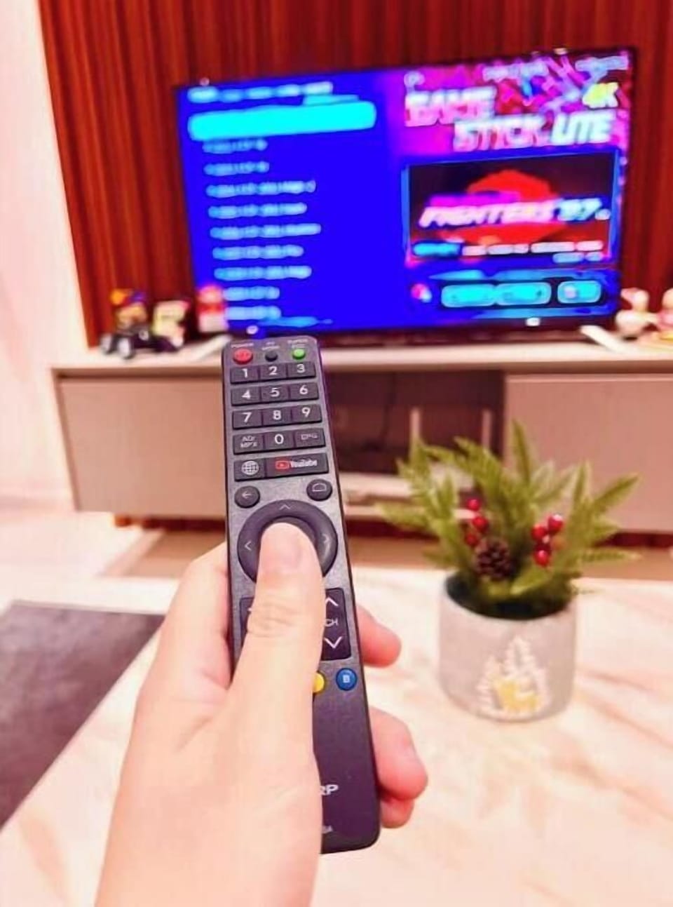 Television