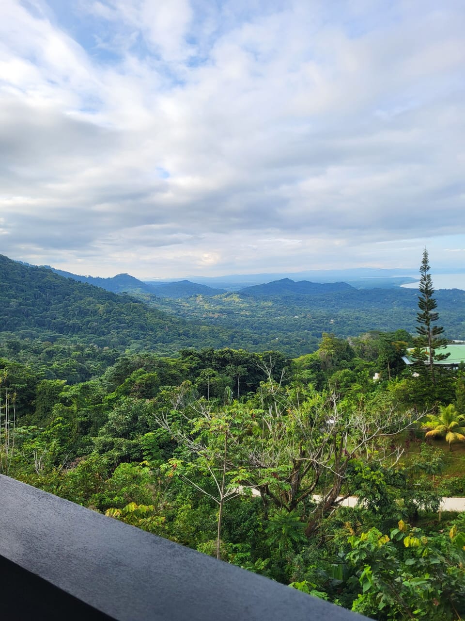 View from property