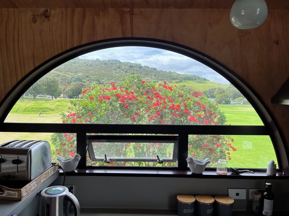 The view from the kitchen. Pohutukawa trees and Tui's surround the property.