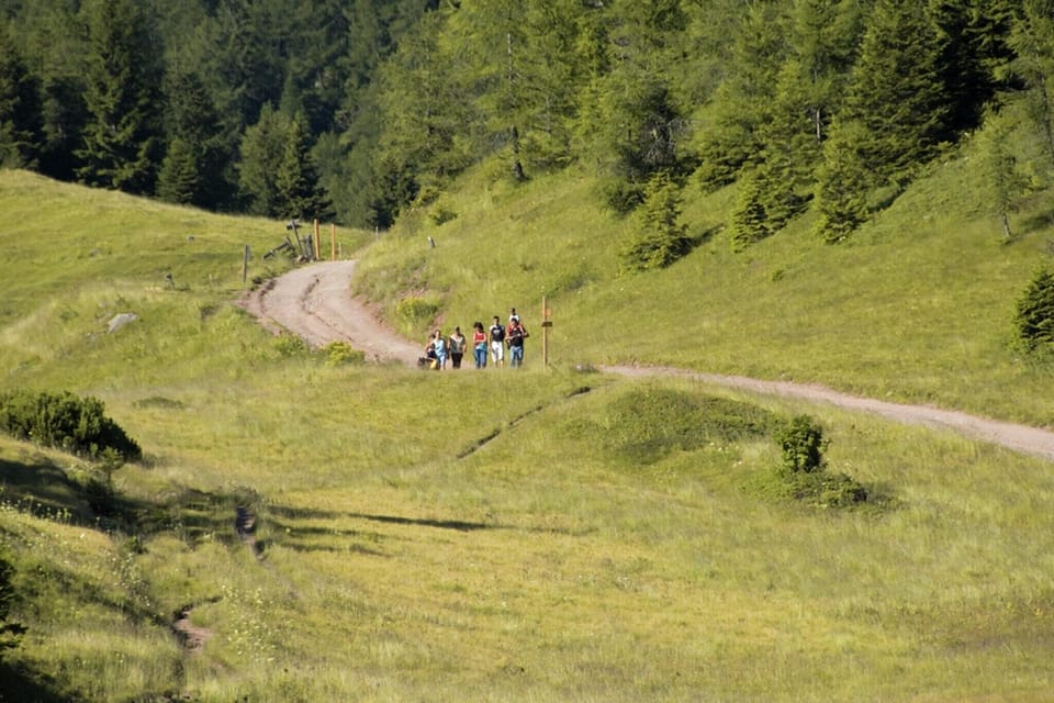 Surroundings [summer] (1-5 km)