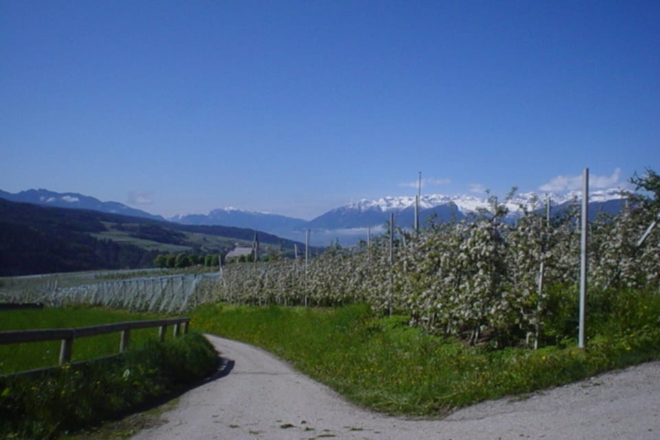 Surroundings [summer] (1-5 km)