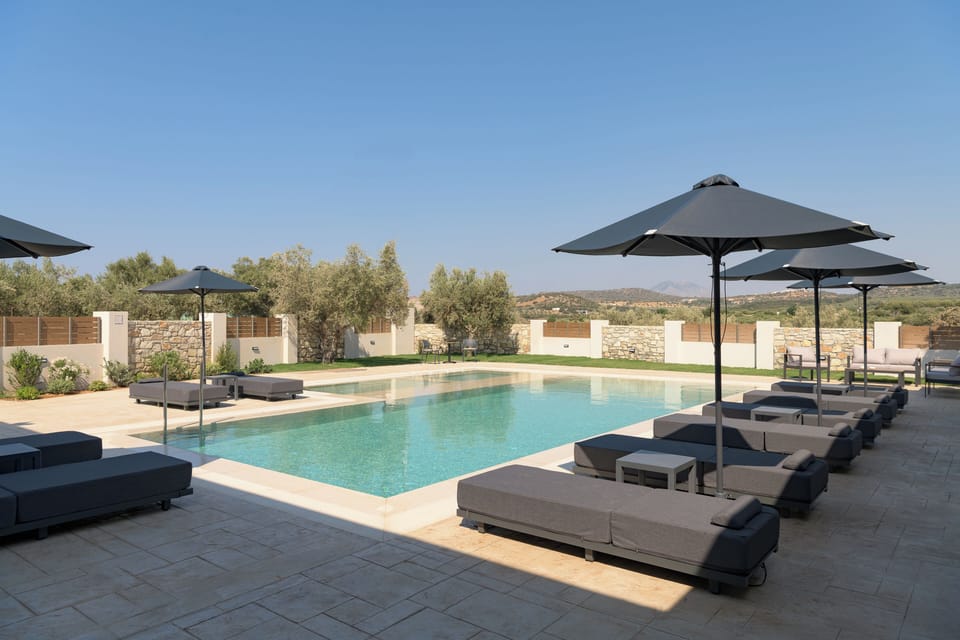 Bask in the island sun on premium loungers framed by natural calm.