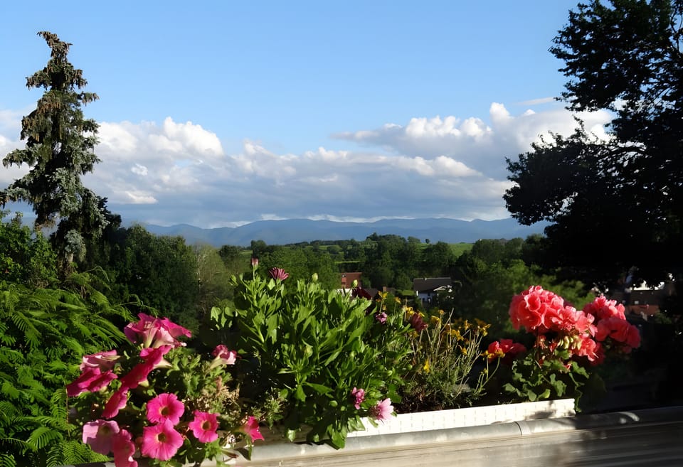 View from property