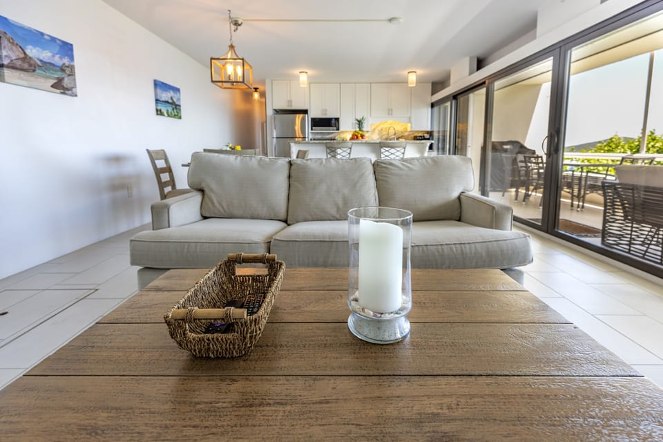 Large Living Room With Pullout Sofa