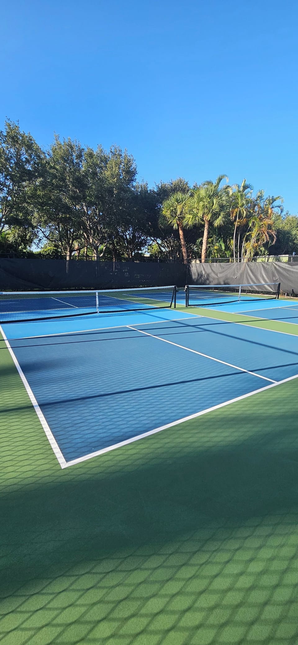 Sport court