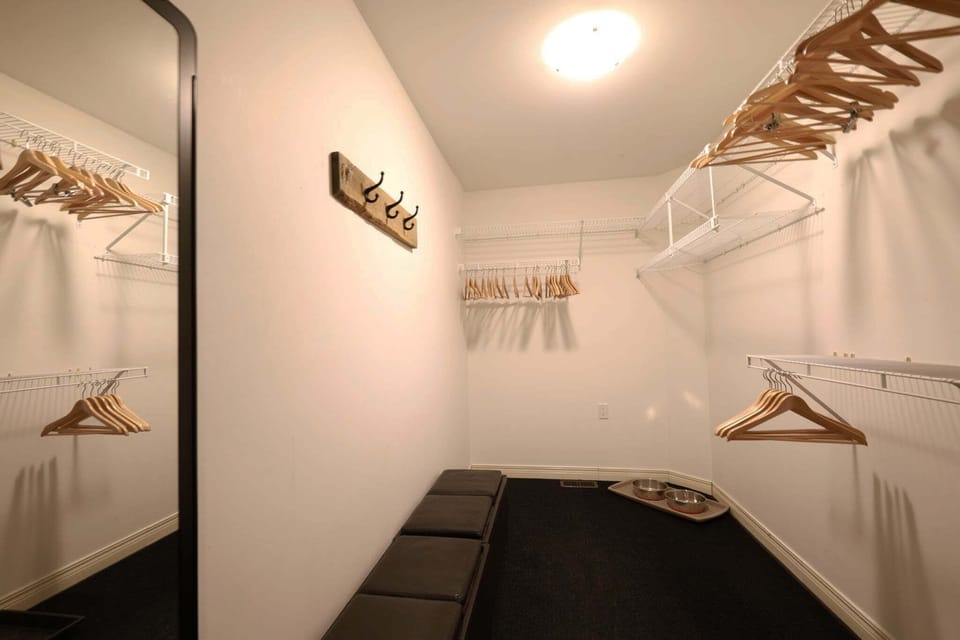 Main entrance closet