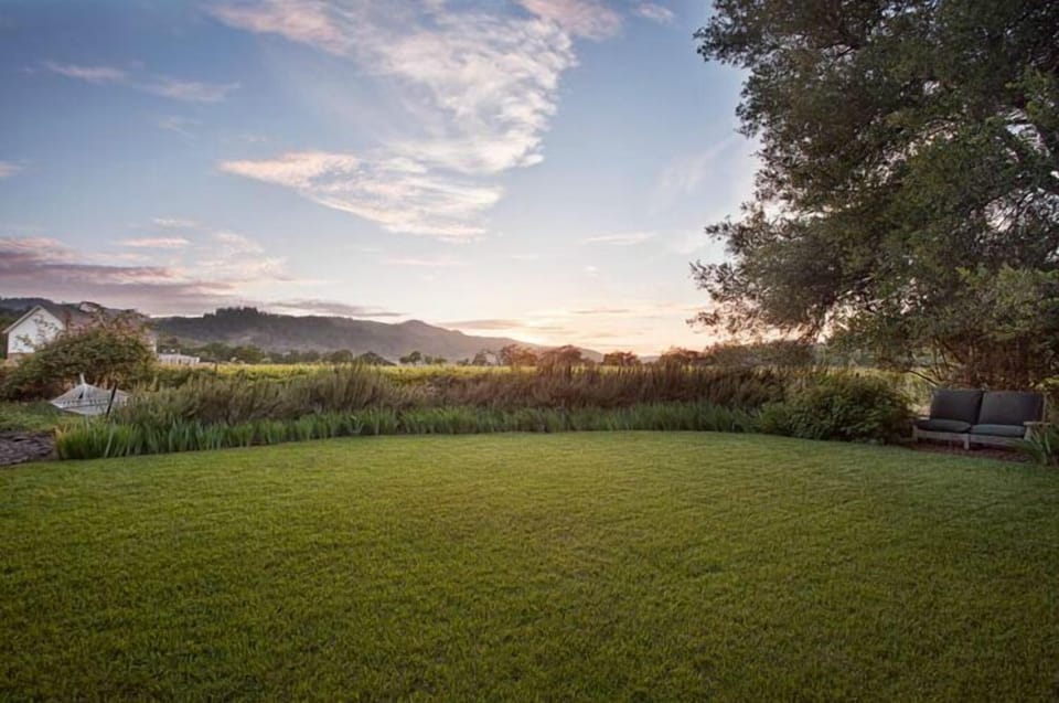 Lawn Area