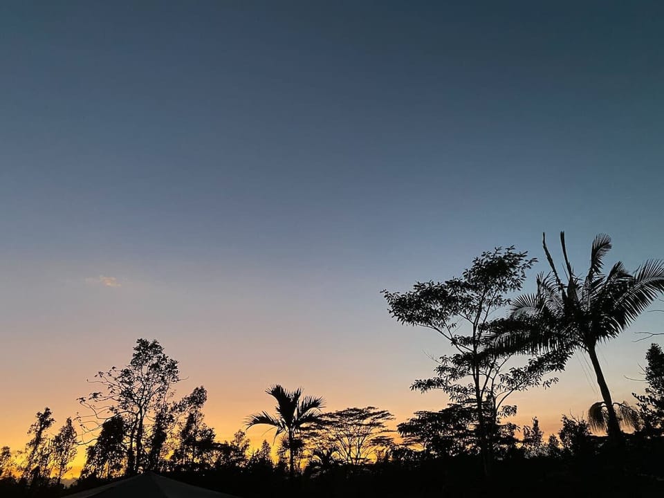 Stunning sunset view with silhouettes of trees.