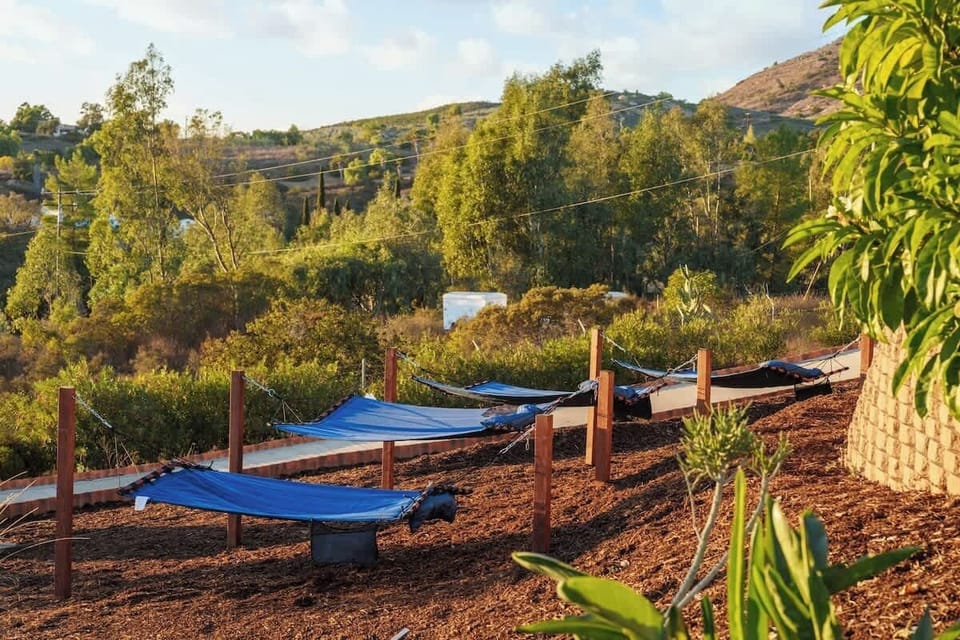 Relaxation awaits! Swing in a hammock surrounded by lush greenery and serene views—a perfect place to read, nap, or meditate in nature.