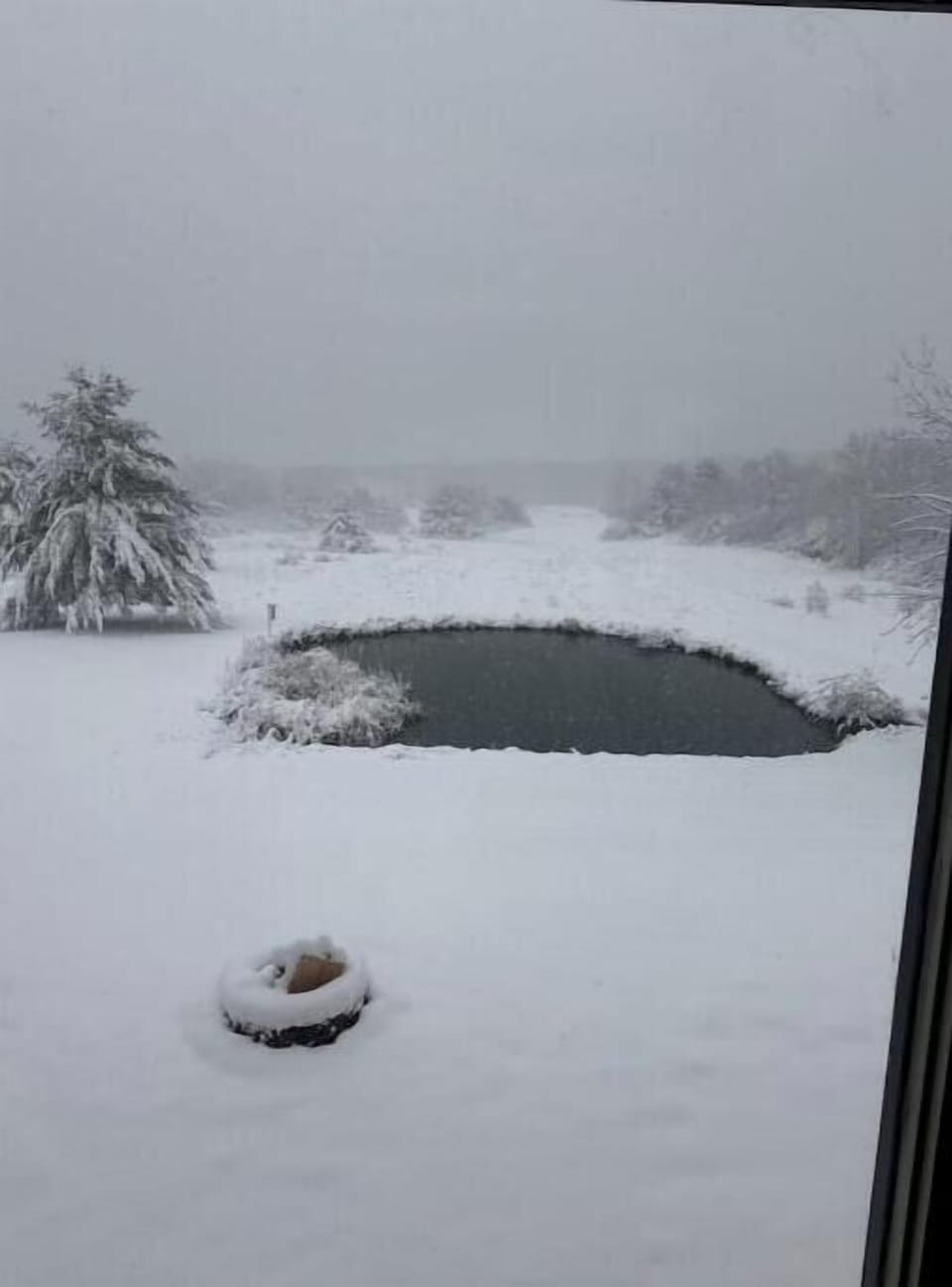 View from property