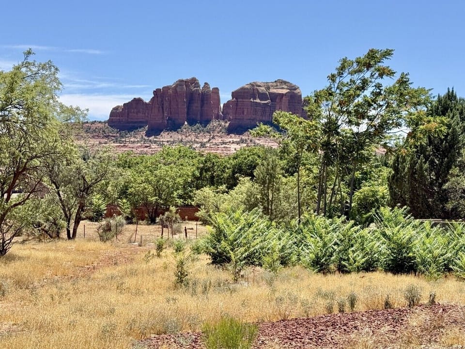 View of Cathedral Rock from the Backyard!