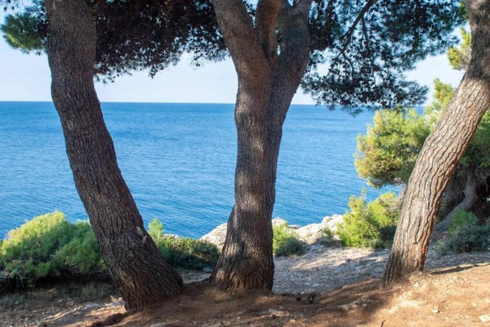 Surroundings [summer] (1-5 km)