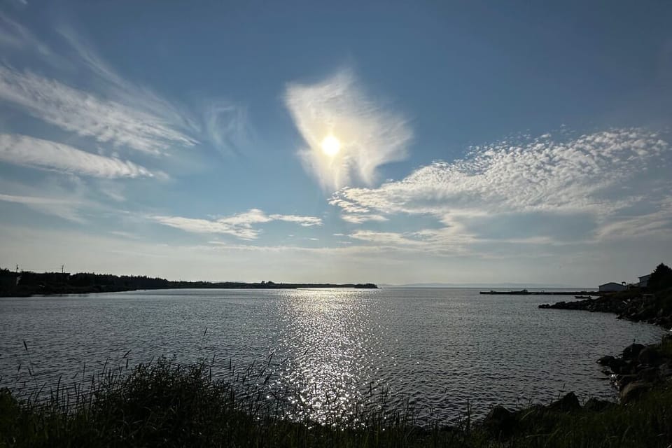 The bay and the water calling — a perfect Newfoundland moment.