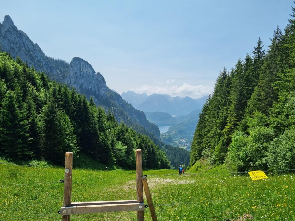 Region [summer] (>5 km)