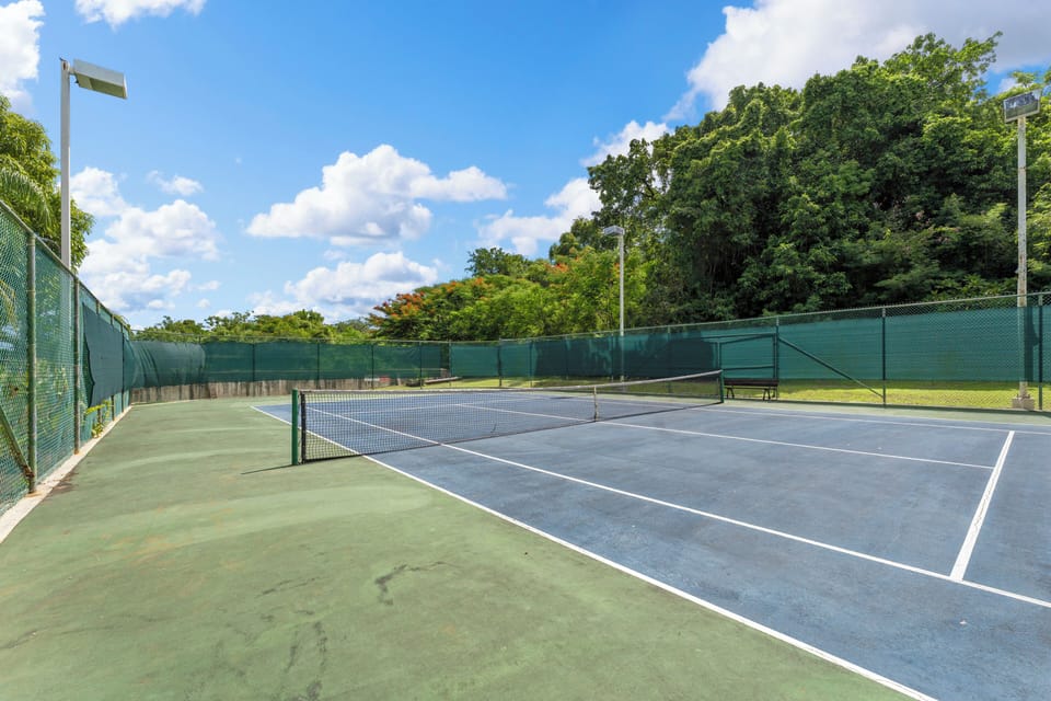 Sport court
